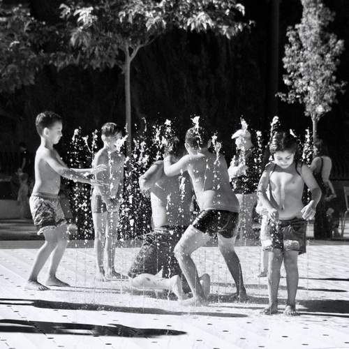 Photo #12560829