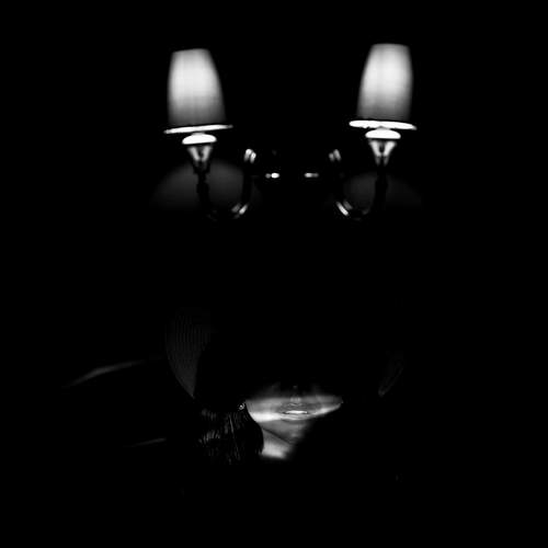Photo #12561006