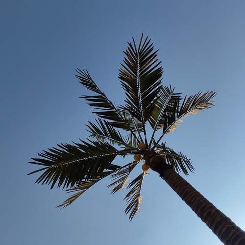 Photo #12561302