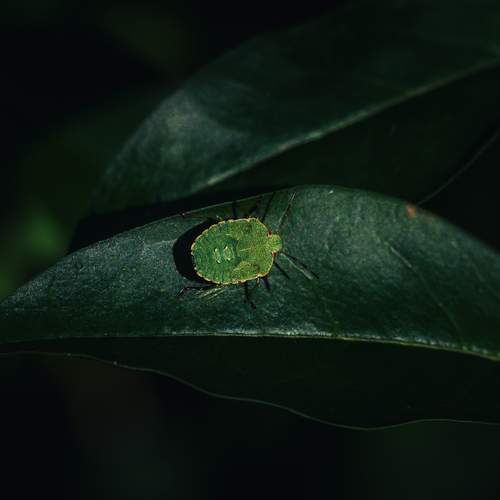 Photo #12561372