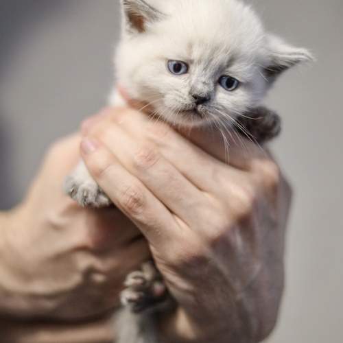 Photo #12561479
