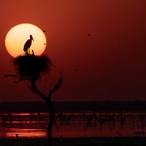 Фотография #12561560