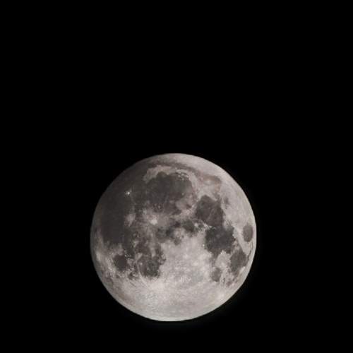 Photo #12561592