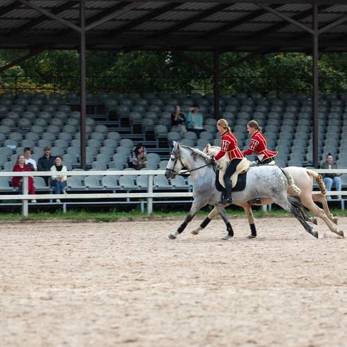 Photo #12561594
