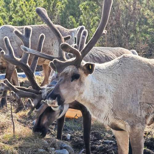 Photo #12561656
