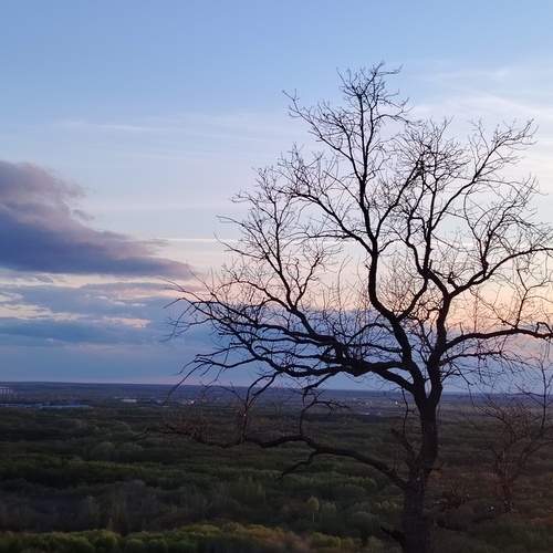 Photo #12561788