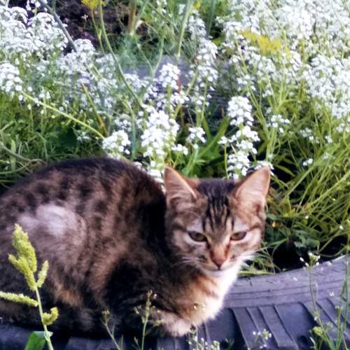 Photo #12561792