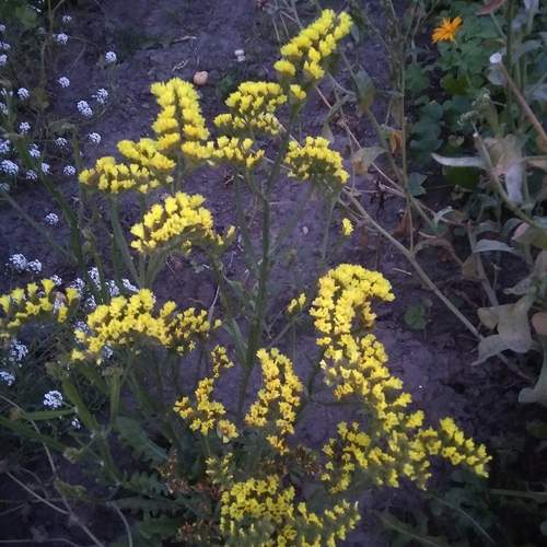Photo #12561802