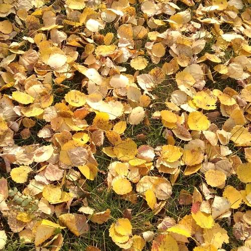 Photo #12561805