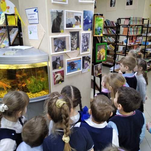 Photo #12561815