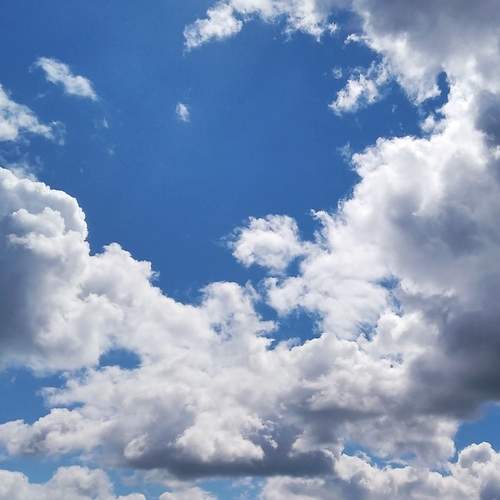 Photo #12561828