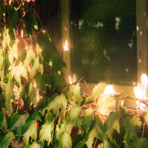 Photo #12561977