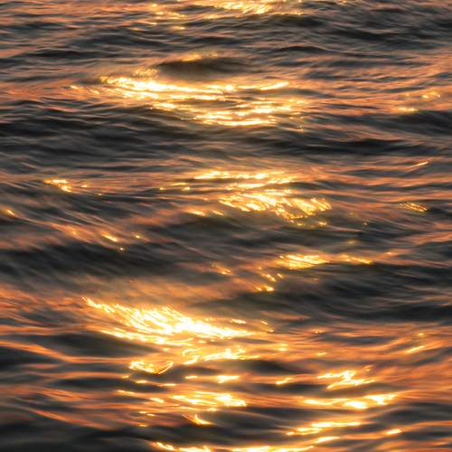 Photo #12561980