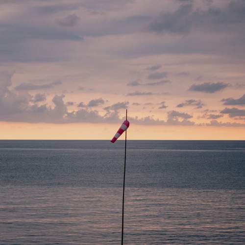 Photo #12561992