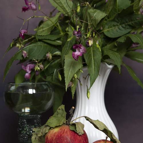 Photo #12562026