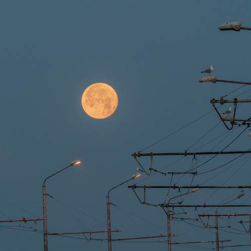 Photo #12562170