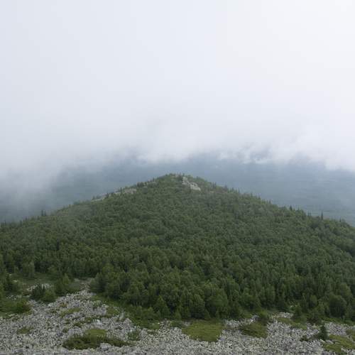 Photo #12562373