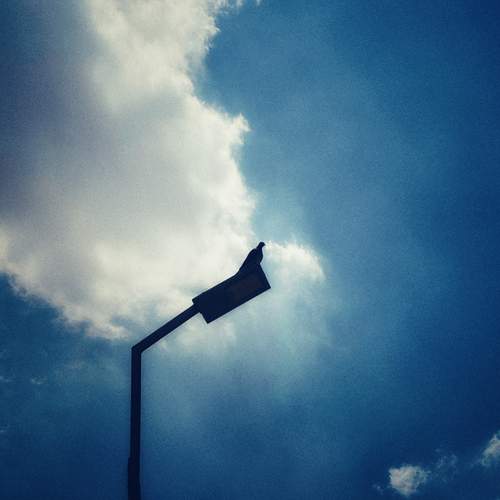 Photo #12562414