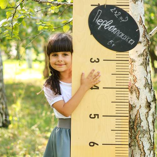 Photo #12562514