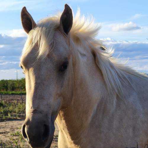 Photo #12562835
