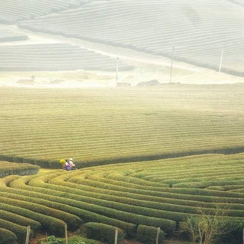 Photo #12563004