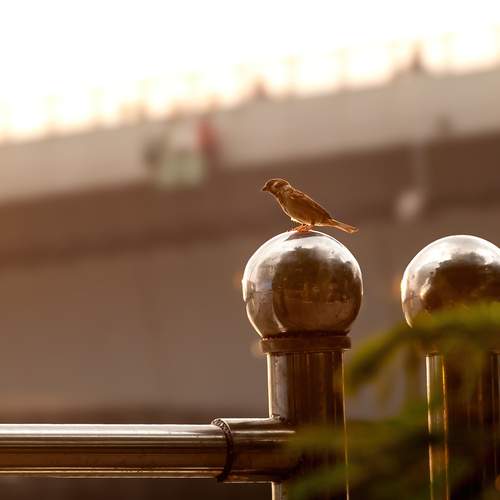 Photo #12563013