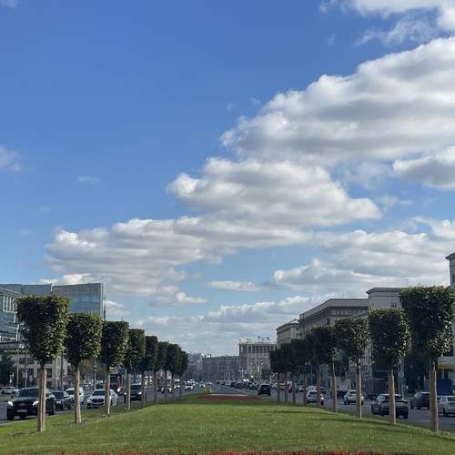Photo #12563069