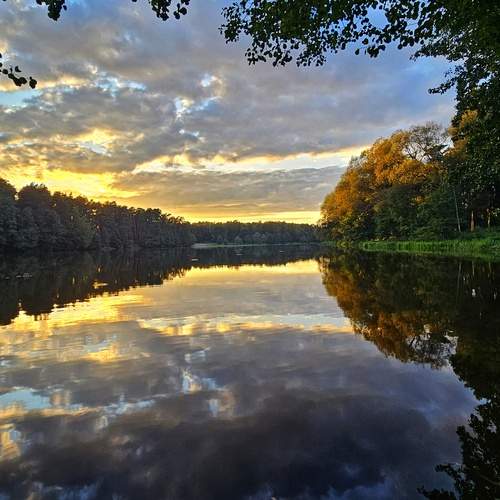 Photo #12563269