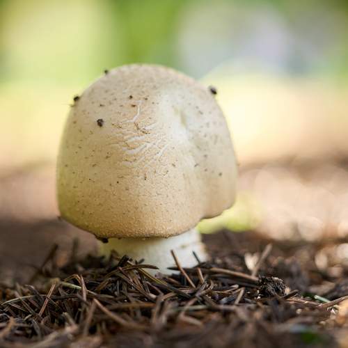 Photo #12563284