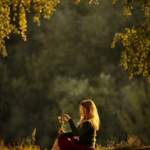 Photo #12563532