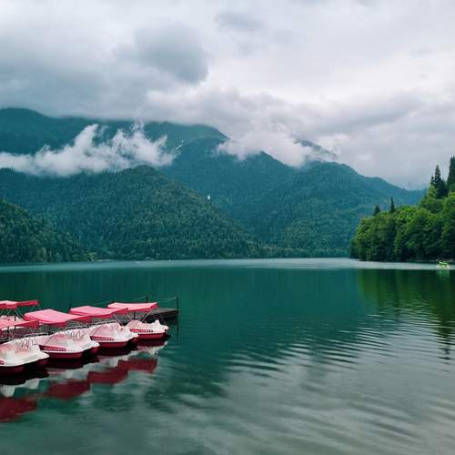 Photo #12563831