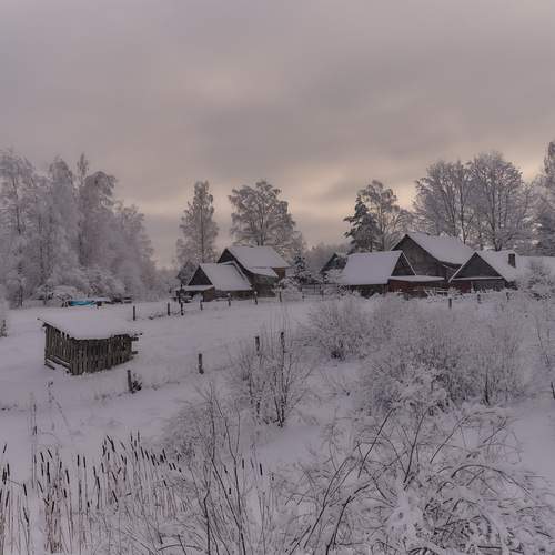 Деревенька в лесу.