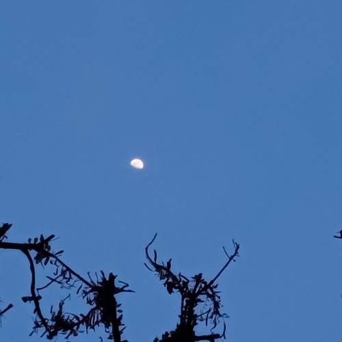 moon on blue sky