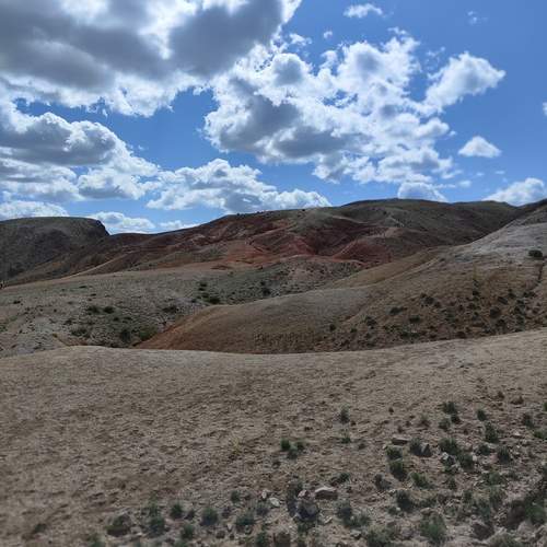 Photo #12564290