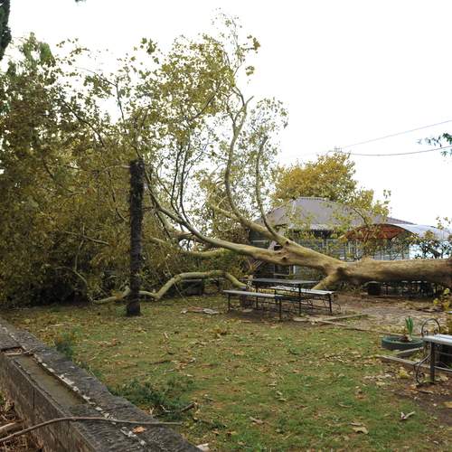 Photo #12564301