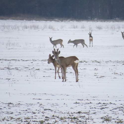 Photo #12564896