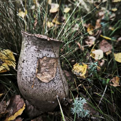 Photo #12564967