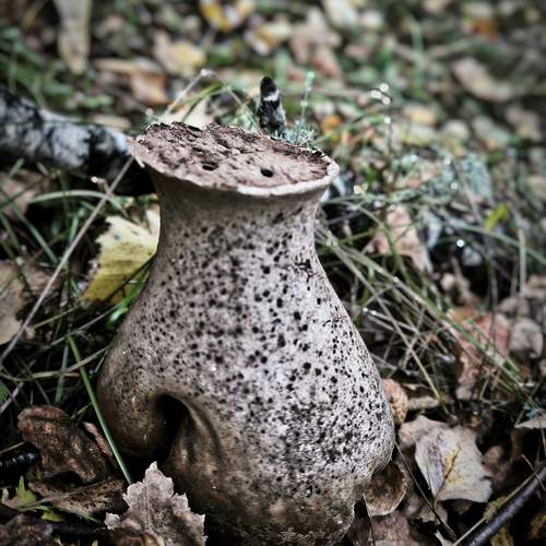 Photo #12564969