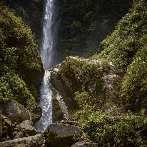 Photo #12565118