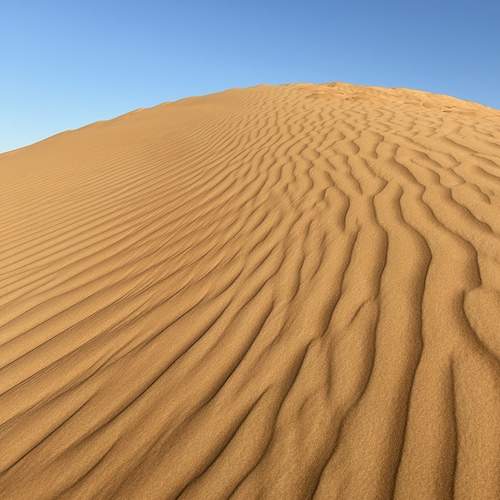 Photo #12565233