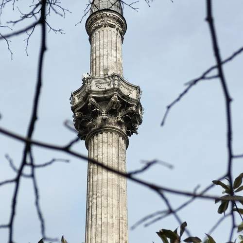Photo #12565236