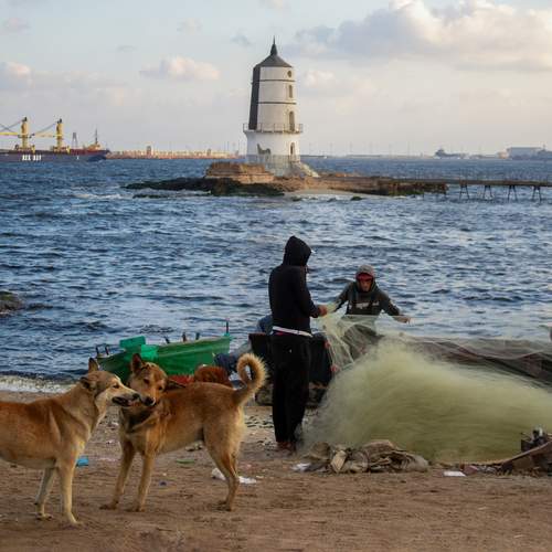 Photo #12565862
