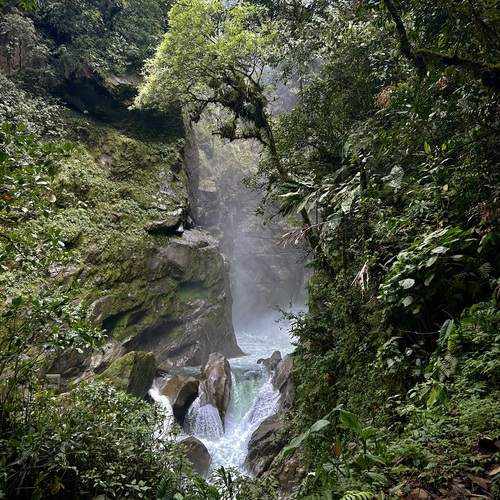 Photo #12565875