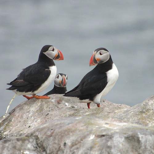 Photo #12565911