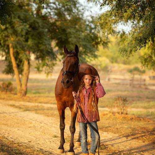 Wild Wild West I