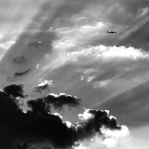 Photo #12566232