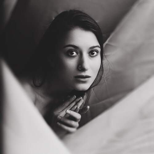 Photo #12566713