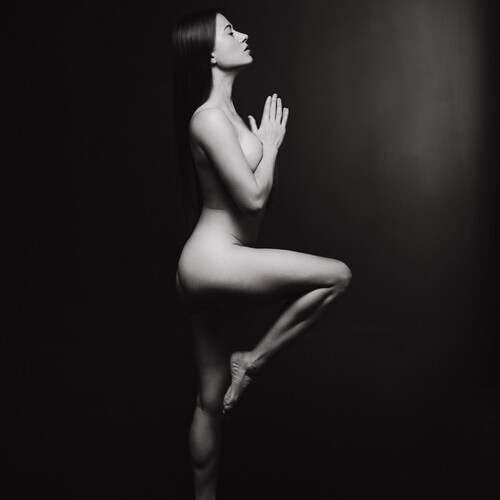 Photo #12566716