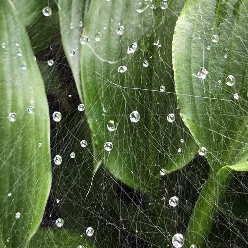 Photo #12566732