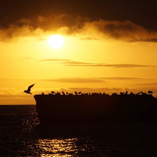 Photo #12566952